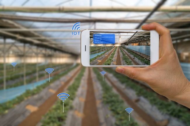 现代化农业的物联网解决方案