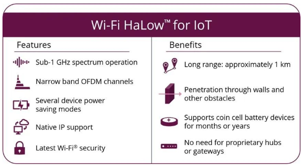 远离价格内卷，WiFi Halow也对标LoRa和NB-IoT丨专访摩尔斯微电子