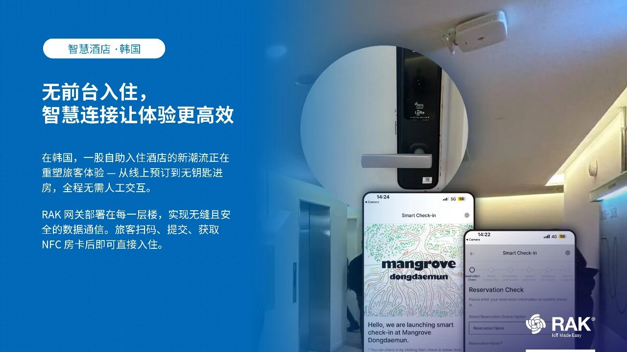d89ceaa13feae658416b1a5d5a81ecbd.jpg