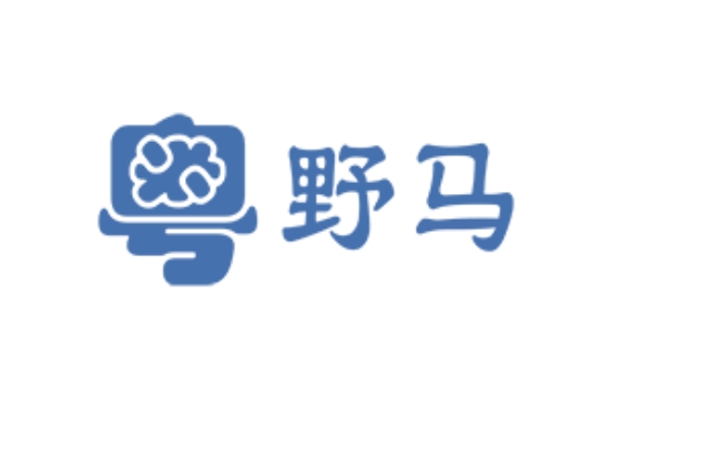 廣州野馬電子科技有限公司