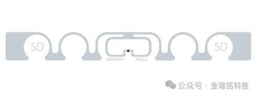 Smartrac Belt RFID Tag
