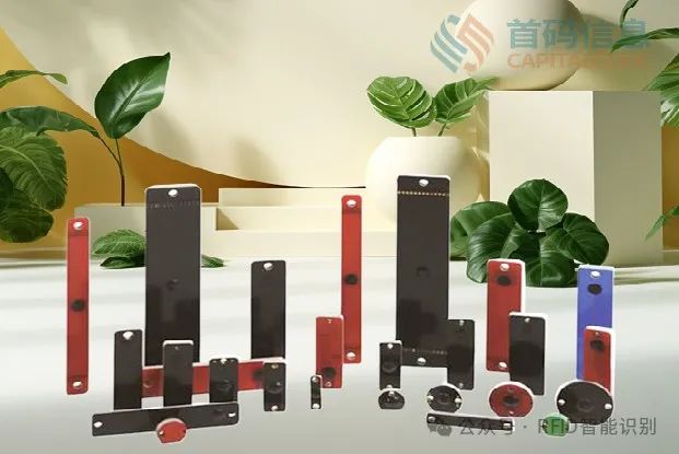 硬质标签3：2 -21.jpg